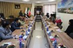 رونمایی از کتاب پرسه در کیش
