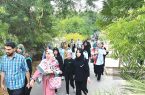 برگزاری همایش پیاده روی خانوادگی گرامیداشت ربیع الاول در کیش
