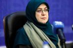 تقدیر سخنگوی دولت از برنامه‌های محمد کبیری برای حل مشکلات حوزه زنان در کیش
