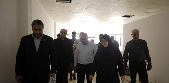 تأکید سخنگوی دولت بر نقش بخش خصوصی در توسعه زیرساخت‌های آموزشی و فناوری کیش