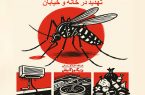 آیا «کیش» در هر دو جبهه «آموزش و بهسازی محیط» موفق بوده است؟
