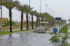 پارادوکس نظارت؛ امکانات بیشتر، کیفیت کمتر