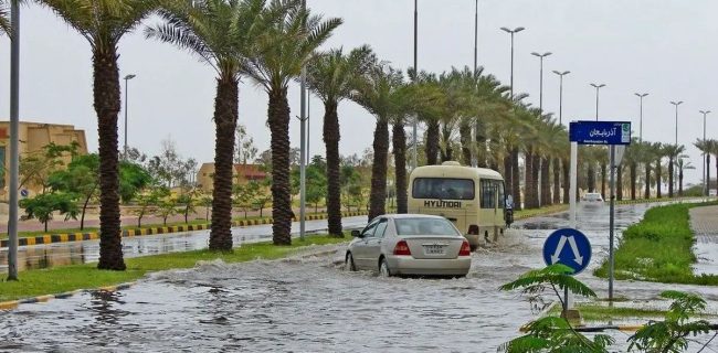 پارادوکس نظارت؛ امکانات بیشتر، کیفیت کمتر