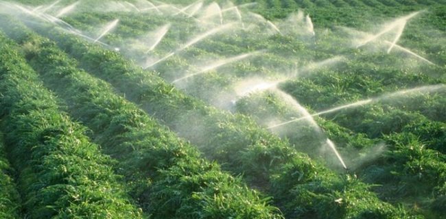 جهش بلند استان هرمزگان در آبیاری نوین